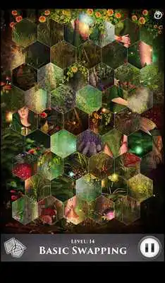 Play Hidden Scenes - Mystical Elves
