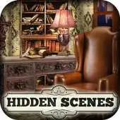 Free play online Hidden Scenes Spring Cleaning APK
