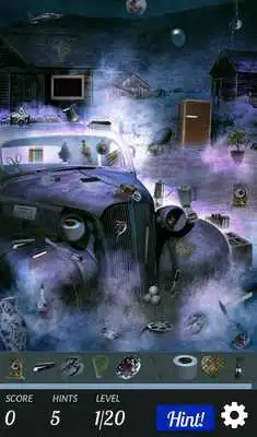 Play Hidden Secrets - Misty Shore