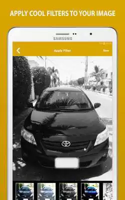 Play Hide Car Plate