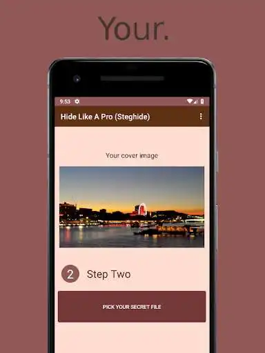 Play Hide Like A Pro: A Privacy Guard as an online game Hide Like A Pro: A Privacy Guard with UptoPlay