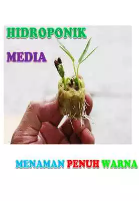 Play HIDROPONIK MEDIA