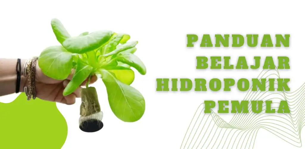 Play Hidroponik Panduan  and enjoy Hidroponik Panduan with UptoPlay