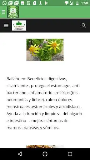 Play Hierbas Naturales  and enjoy Hierbas Naturales with UptoPlay