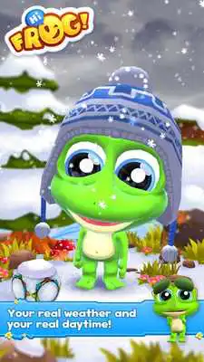 Play Hi Frog!