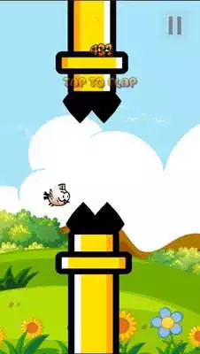 Play Highfly Bird