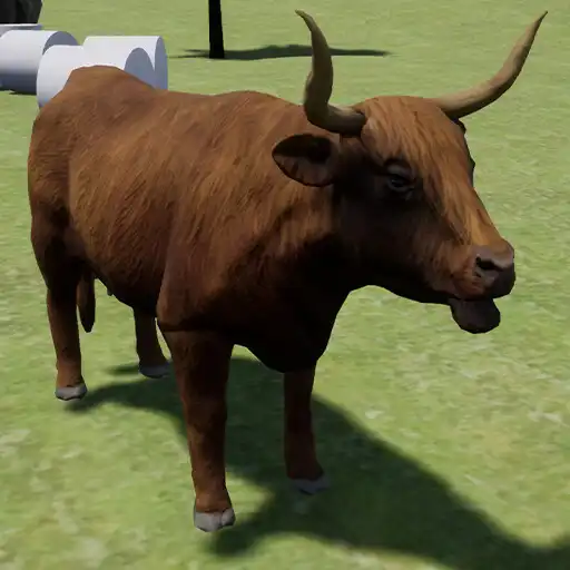 Play Highland cattle Simulator APK