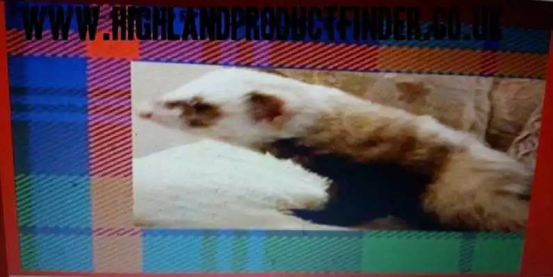 Play Highlandproductfinder