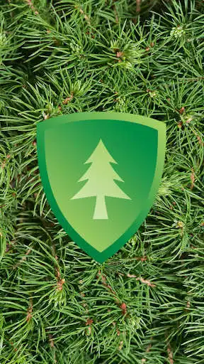 Play Highland Socios  and enjoy Highland Socios with UptoPlay