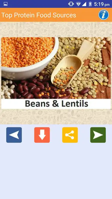 Play High Protein Diet Sources Food