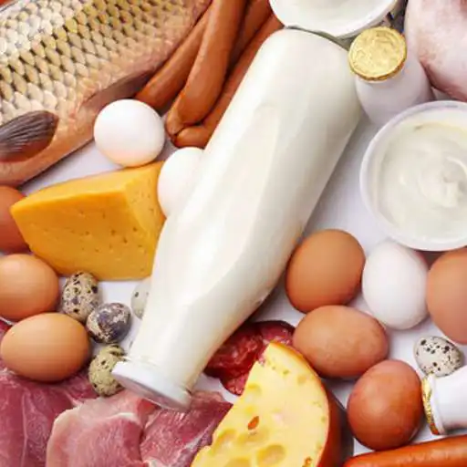 Play High protein meal plan APK Play High protein meal plan APK