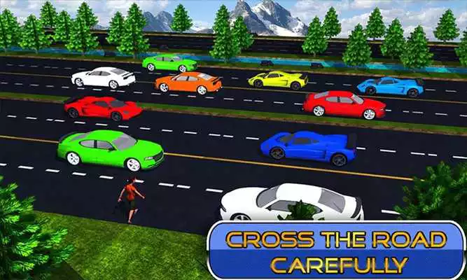 Play Highway Crossing Simulator