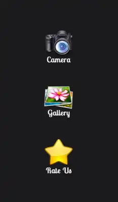Play Hijab Star Photo Frames