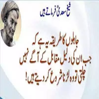Play hikayat e sheikh saadi in urdu