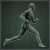 Free play online Hill Sprint Lite APK Free play online Hill Sprint Lite APK