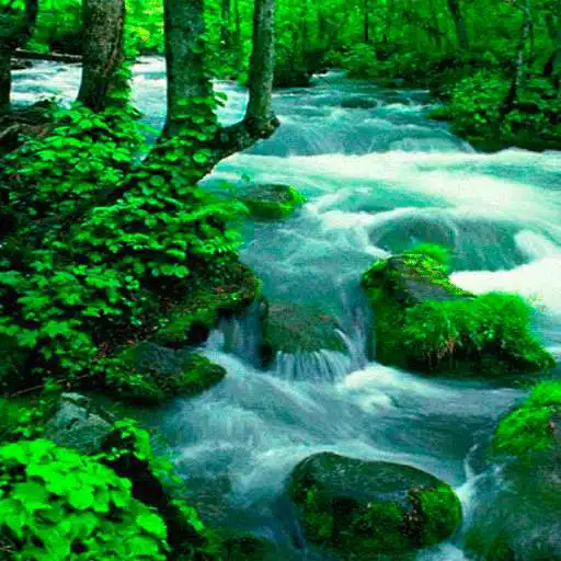 Free play online Hilly River Live Wallpaper APK