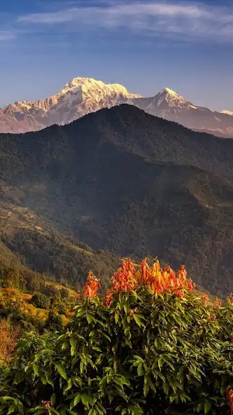 Play Himalayas Mountain Wallpaper and enjoy Himalayas Mountain Wallpaper with UptoPlay Play Himalayas Mountain Wallpaper and enjoy Himalayas Mountain Wallpaper with UptoPlay