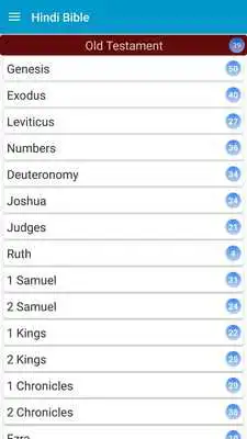 Play Hindi Bible For Everyone
