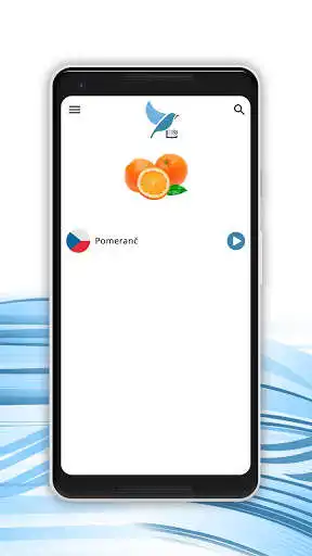 Play Hindi Czech Dictionary as an online game Hindi Czech Dictionary with UptoPlay