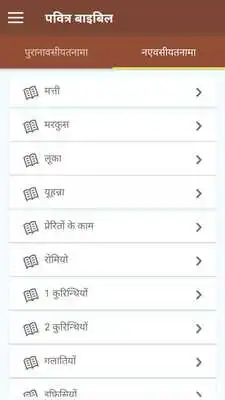 Play Hindi Holy Bible Offline