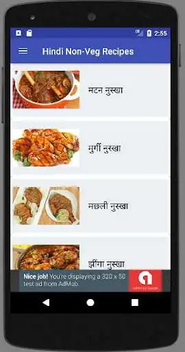 Play Hindi Recipes Non Veg Videos