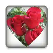 Free play online Hindi Romantic messages free APK Free play online Hindi Romantic messages free APK