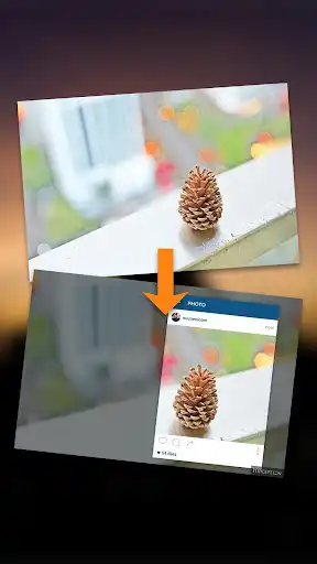 Play Hipception as an online game Hipception with UptoPlay
