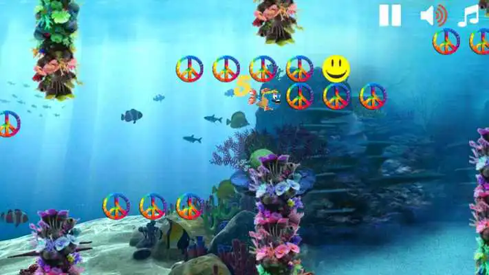 Play Hippie Fish