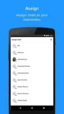 Play Hippo Chat Support