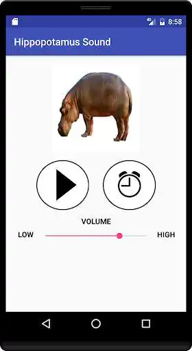 Play Hippopotamus Sound as an online game Hippopotamus Sound with UptoPlay