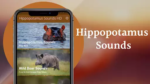 Play Hippopotamus Sounds as an online game Hippopotamus Sounds with UptoPlay