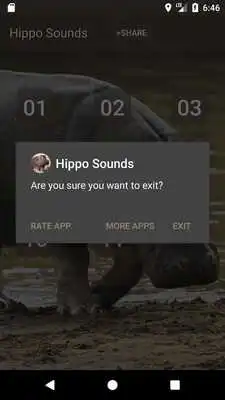 Play Hippopotamus Sounds