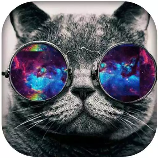 Free play online Hipster Wallpapers  APK