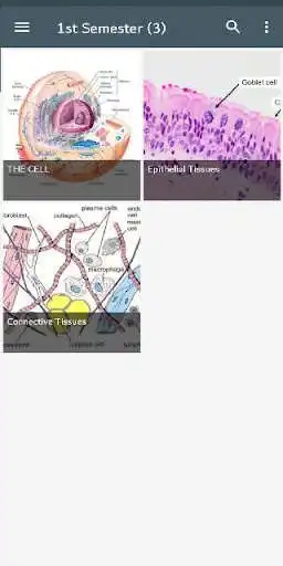 Play Histophilia as an online game Histophilia with UptoPlay