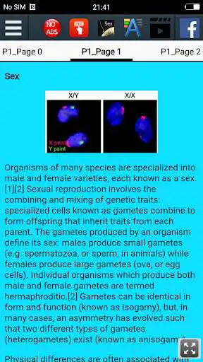 Play History of Sex as an online game History of Sex with UptoPlay