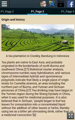 Play History of Tea