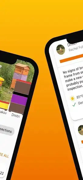 Play HiveBloom as an online game HiveBloom with UptoPlay