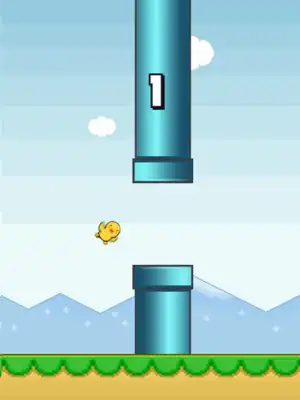 Play Hiyoko Bird Play Hiyoko Bird