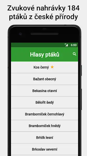 Play Hlasy ptáků  and enjoy Hlasy ptáků with UptoPlay