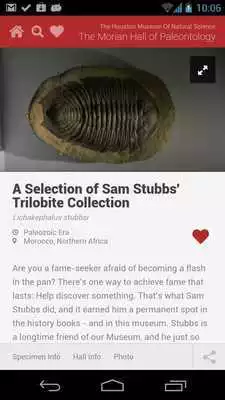 Play HMNS Tour Guide: Paleo