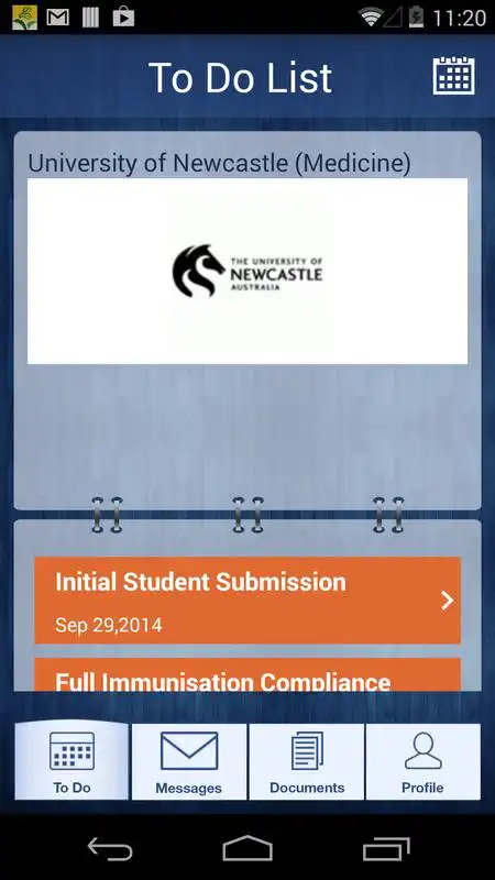 Play HNE Health Clinical Placement