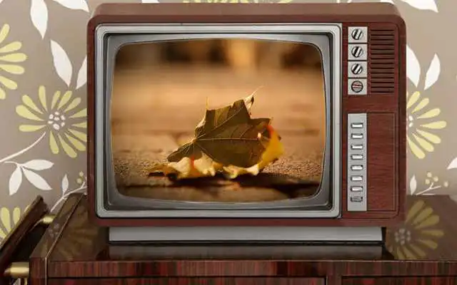 Play Hoarding Photo Frames Editor