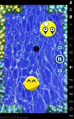 Play hockey king Top
