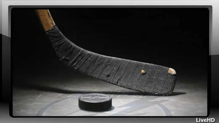 Play Hockey Wallpaper