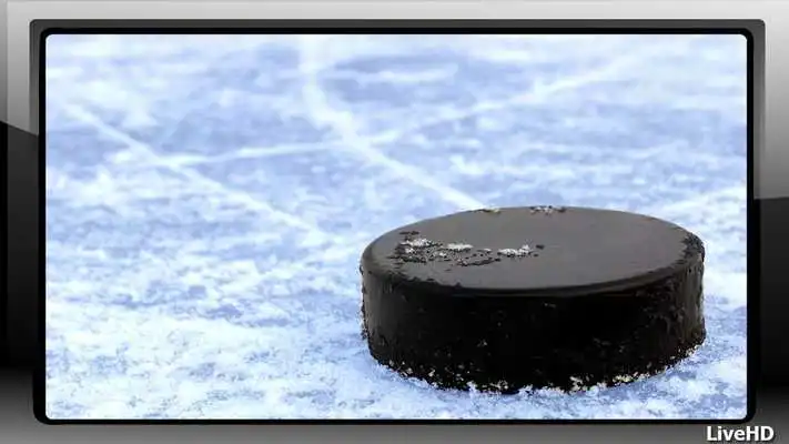 Play Hockey Wallpaper