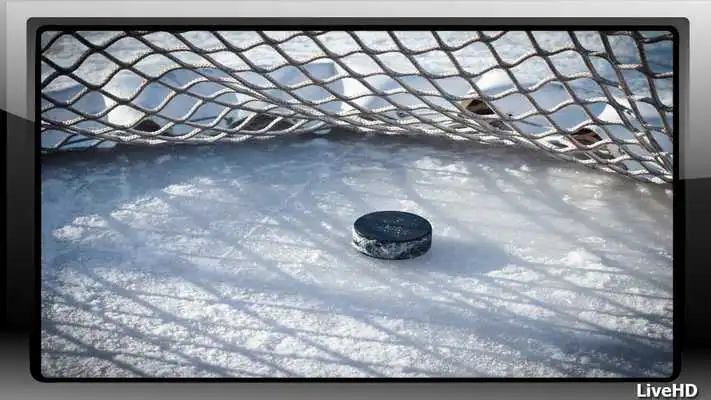 Play Hockey Wallpaper