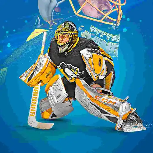 Play Hockey Wallpapers Mobile APK