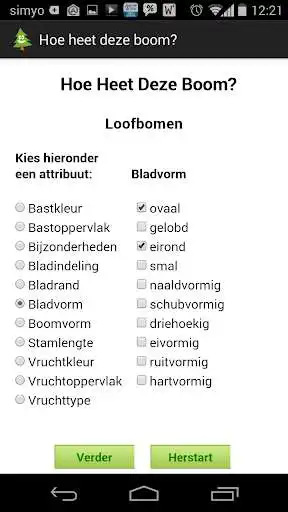 Play Hoe heet deze boom? as an online game Hoe heet deze boom? with UptoPlay