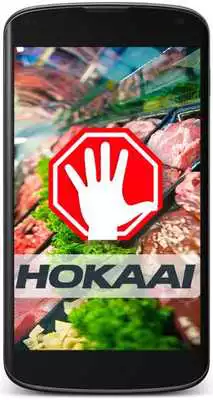 Play Hokaai Meat Market