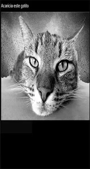 Play hola gatito as an online game hola gatito with UptoPlay